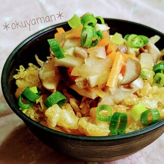 簡単＊テキトーだけど、野菜天丼風？